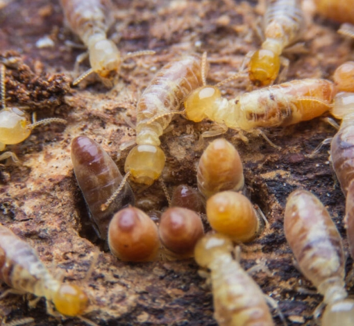 Manutenção hidráulica