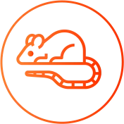 Limpeza de Caixa d'água RJ | Limpeza de Cisterna - Rio de Janeiro