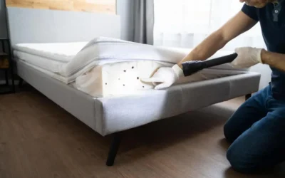 DEDETIZAÇÃO DE PERCEVEJOS RJ: FALE COM O PROFISSIONAL 21 997924539