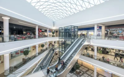 Controle de Pragas em Shopping Centers RJ: Como Evitar Problemas com Clientes e Vigilância Sanitária