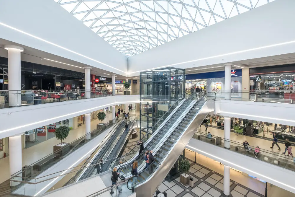 Controle de Pragas em Shopping Centers RJ: Como Evitar Problemas com Clientes e Vigilância Sanitária
