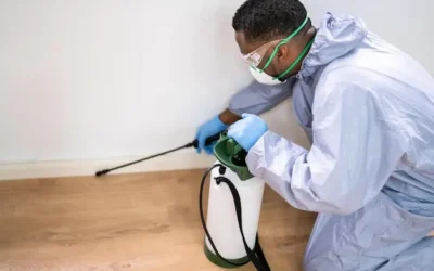Controle de pragas e limpeza de caixa d’água em Magé RJ: com laudo e garantia INEA